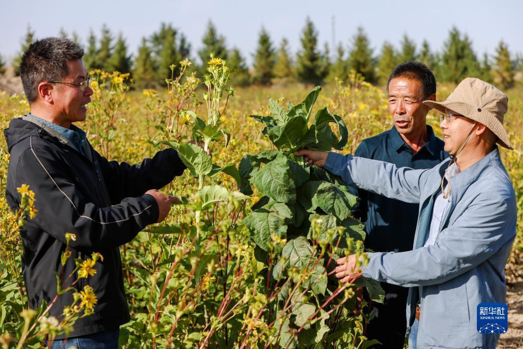 太阳城游戏中心